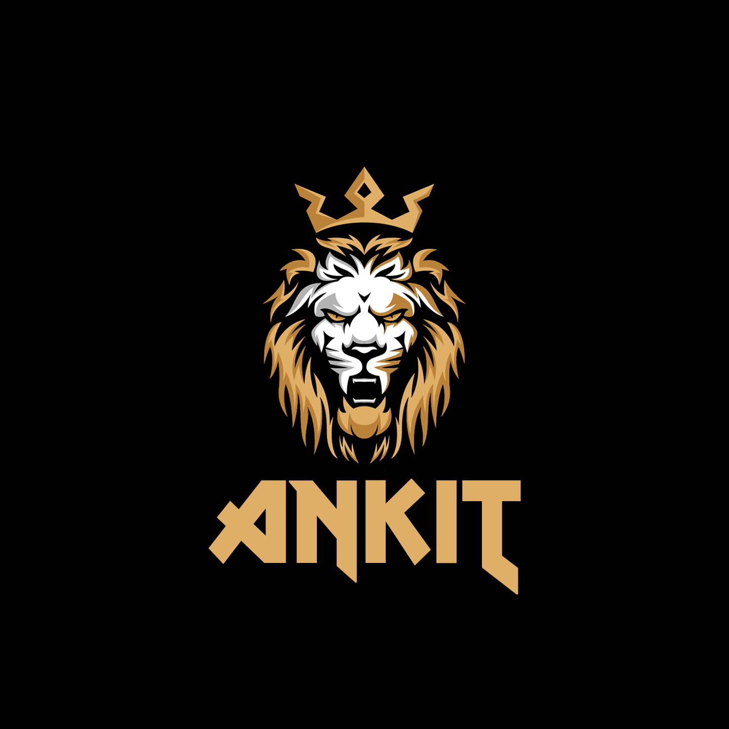 Ankit collection