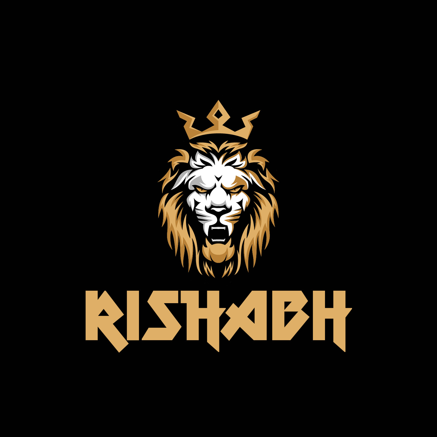 rishabh-99 (Rishabh Tomar)