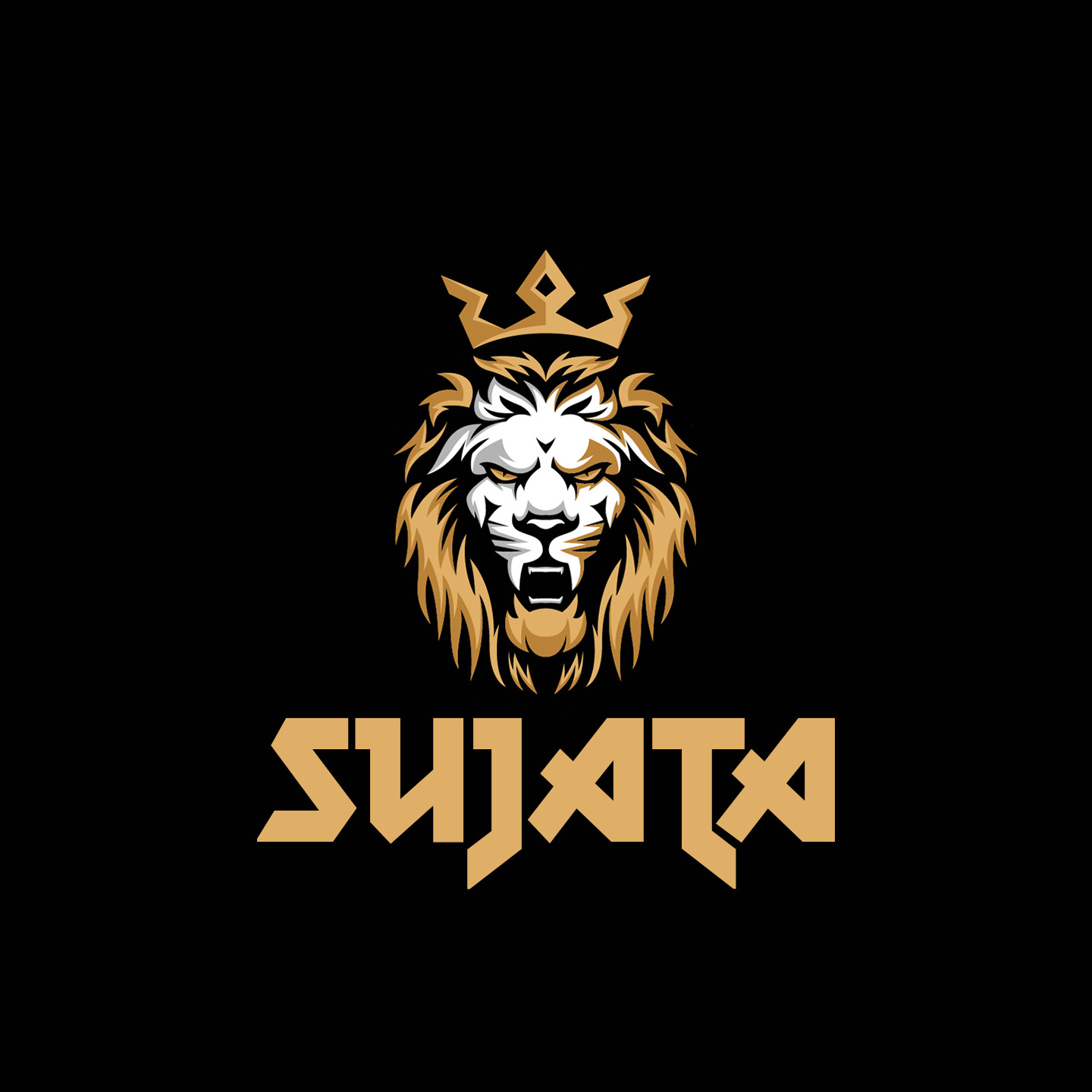 Dr. Sujata Singhi Logo Design
