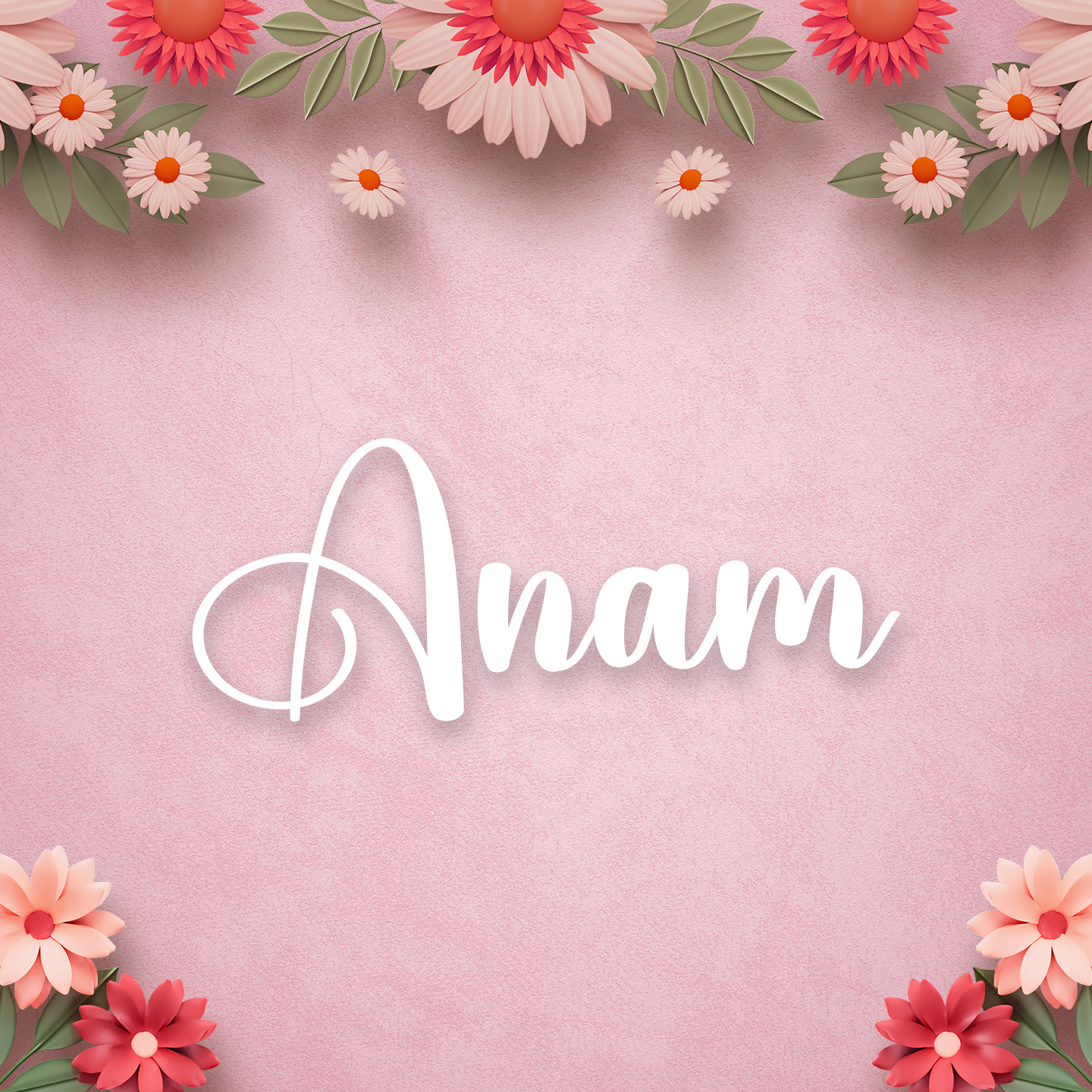 Anum Projects :: Photos, videos, logos, illustrations and branding ::  Behance