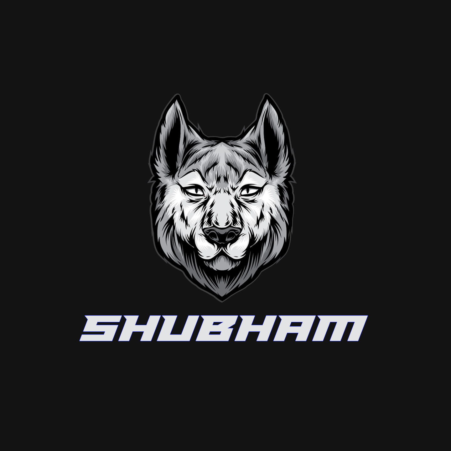 Mr. shubham gaming