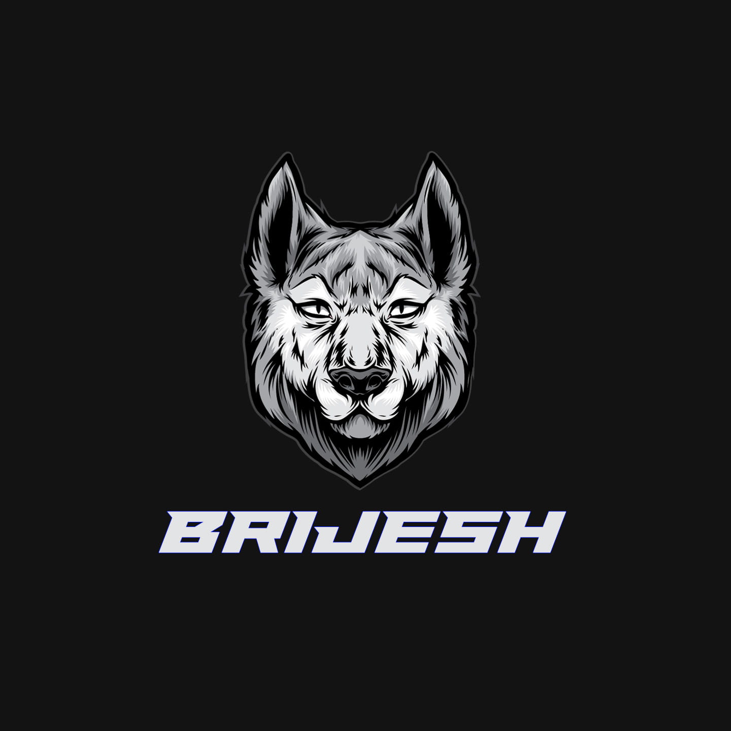 Brijesh Tejani💪 (@brijeshtejani) / X