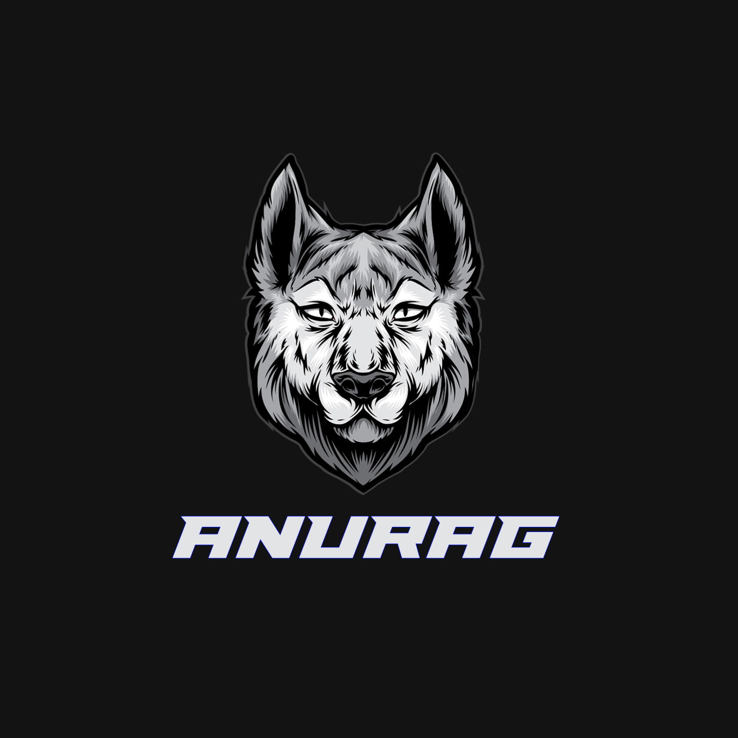 ANURAG GAMING - YouTube