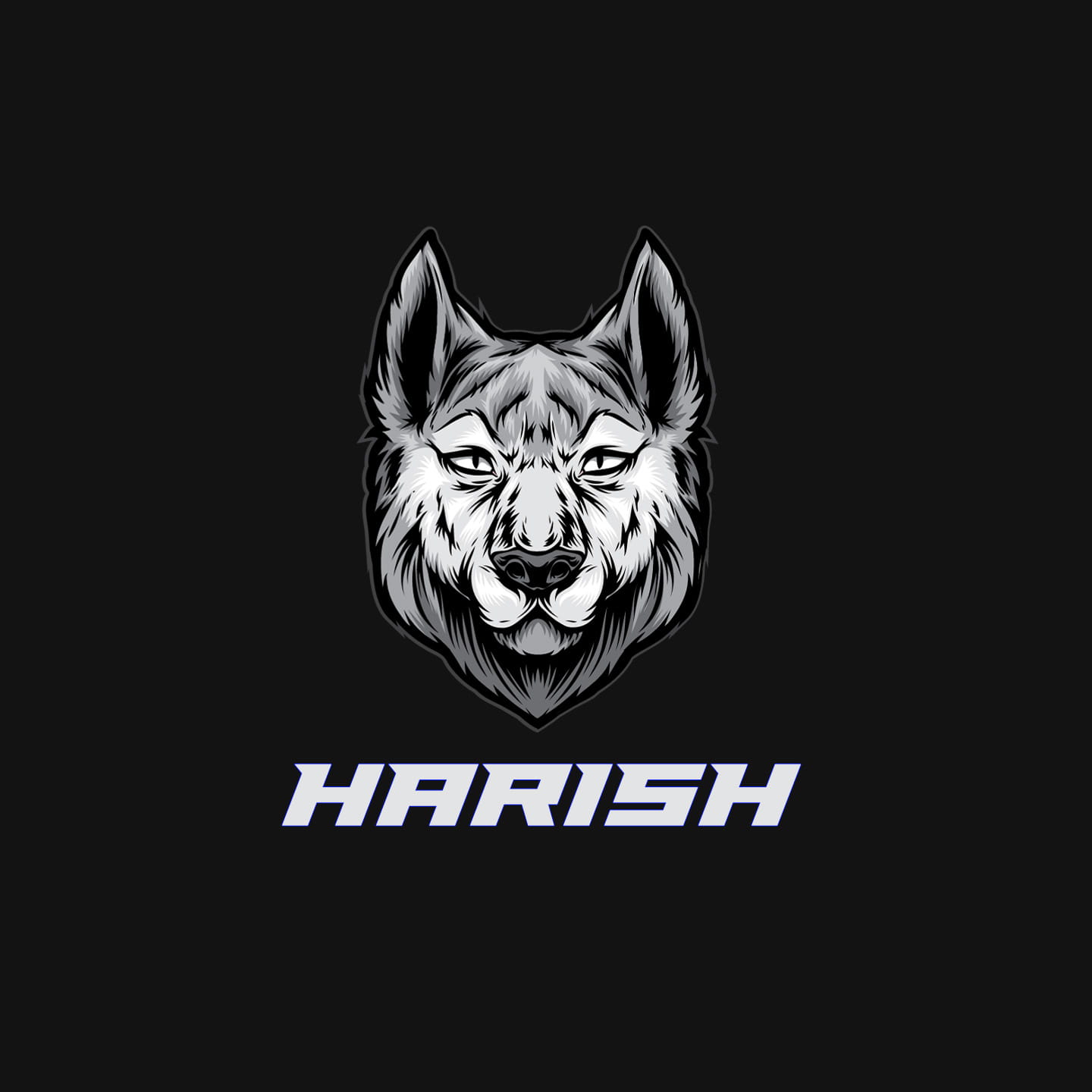 Harish | Freelance Logo Designer & Packaging Designer | India