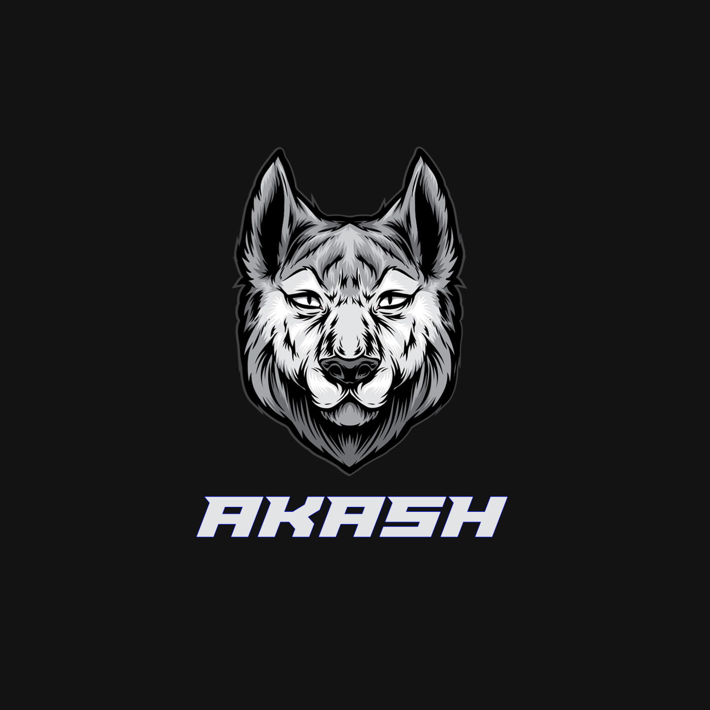 Akash Name T Shirt - Akash Vintage Retro Akash Name Gift Item Tee