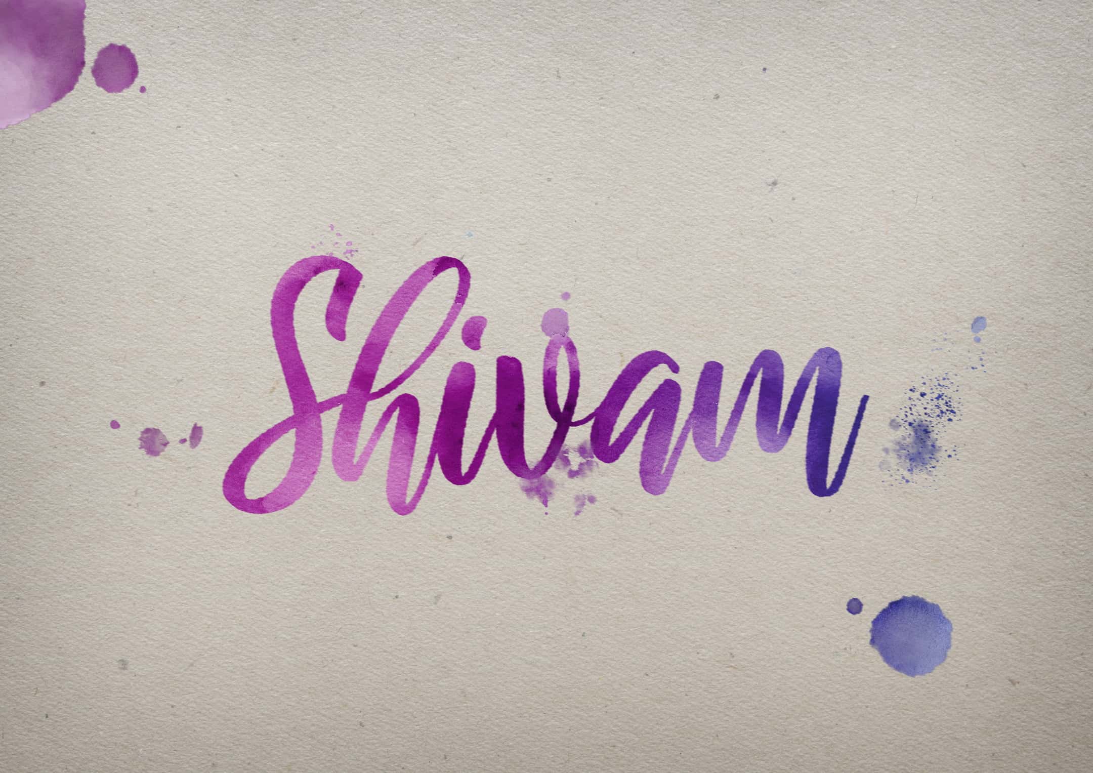Shivam Computers