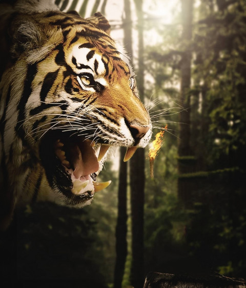 Free photo of Picsart Editing Background (with Tiger and Predator)