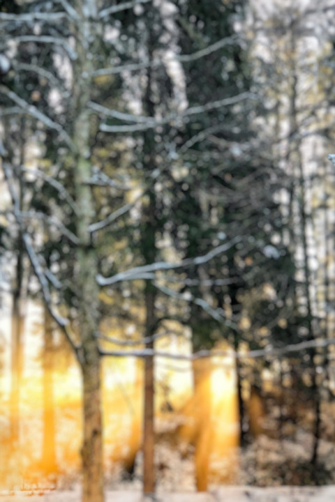 Free photo of Blur CB Editing Background (with Winter and Ice)