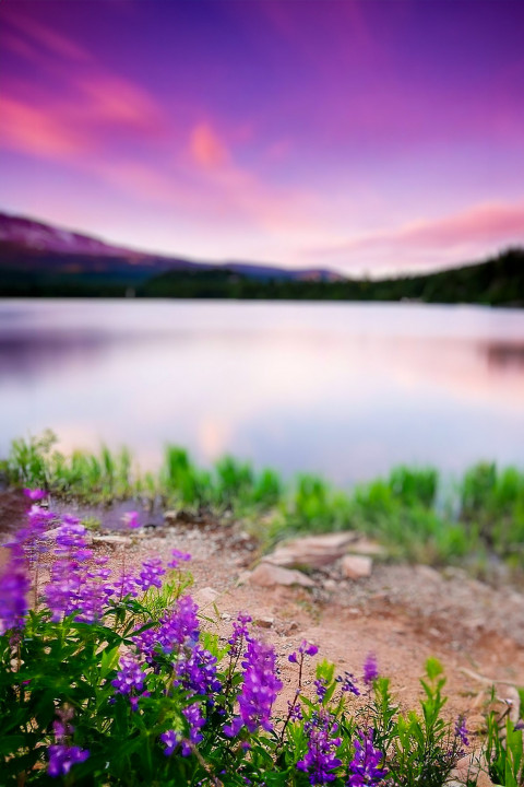 Free photo of Blur CB Editing Background (with Sunset and Lake)