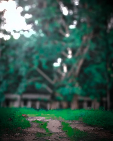 Free photo of Blur CB Editing Background (with Tree and Landscape)