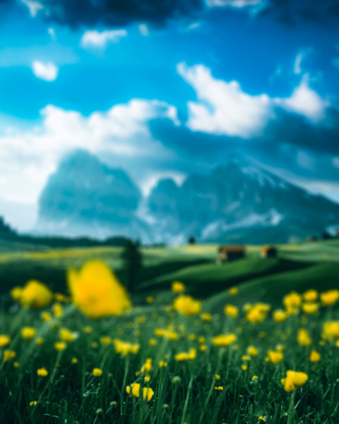 Free photo of Blur CB Editing Background (with Summer and Spring)