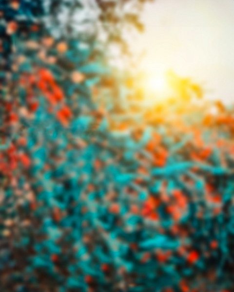 Free photo of Blur CB Editing Background (with Background and Abstract)