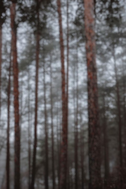 Free photo of Blur CB Editing Background (with Scenic and Mist)