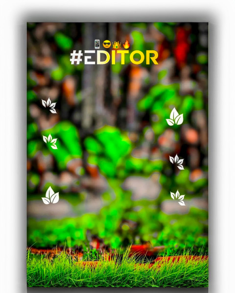 Free photo of CB Editing Background (with Leaf and Design)