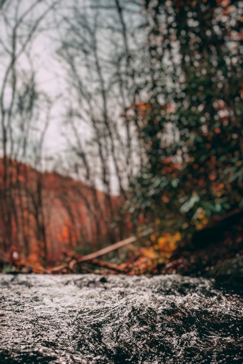 Free photo of Blur CB Editing Background (with Water and River)