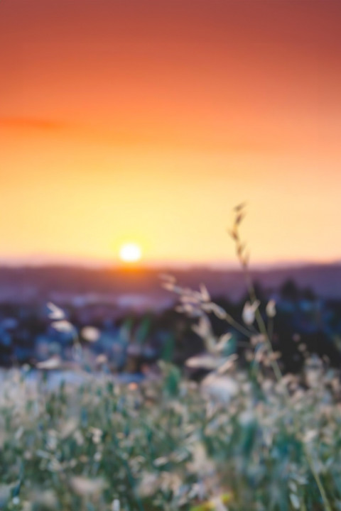 Free photo of Blur CB Editing Background (with Nature and Sunset)