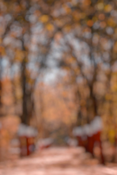 Free photo of Blur CB Editing Background (with Fall and Nature)