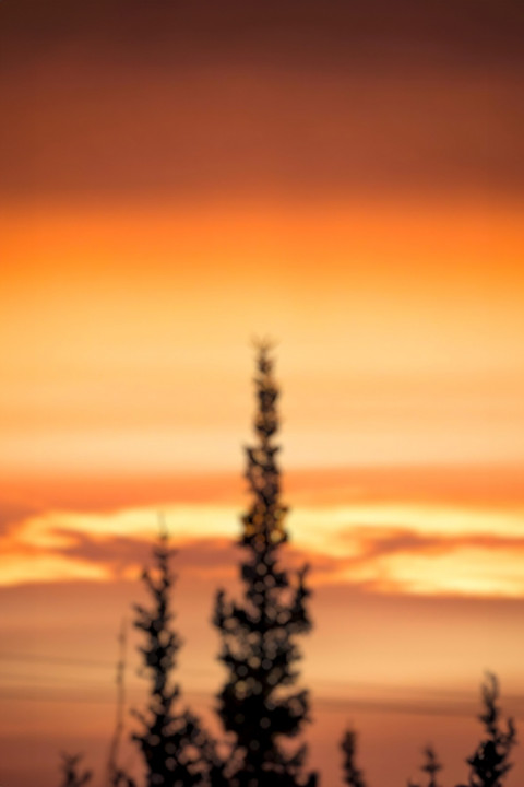 Free photo of Blur CB Editing Background (with Sunset and Nature)