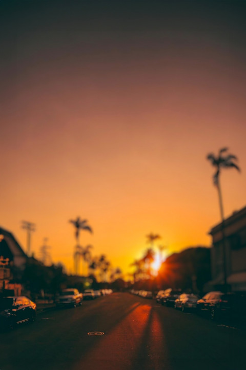 Free photo of Blur CB Editing Background (with Sky and Sunset)