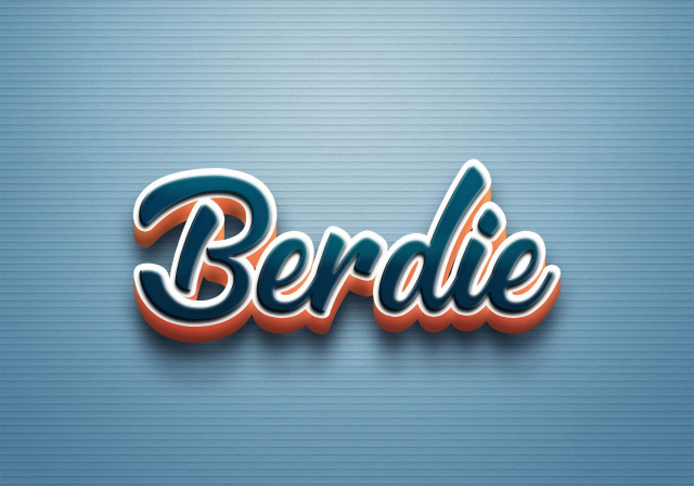 Free photo of Cursive Name DP: Berdie