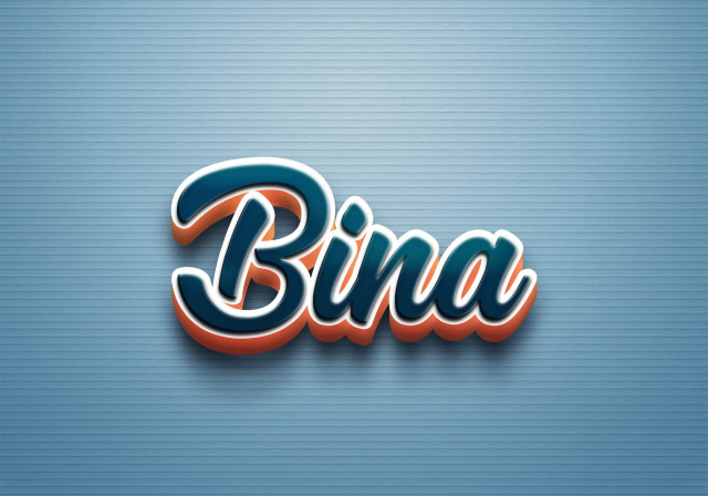 Free photo of Cursive Name DP: Bina