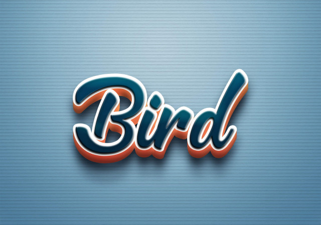 Free photo of Cursive Name DP: Bird