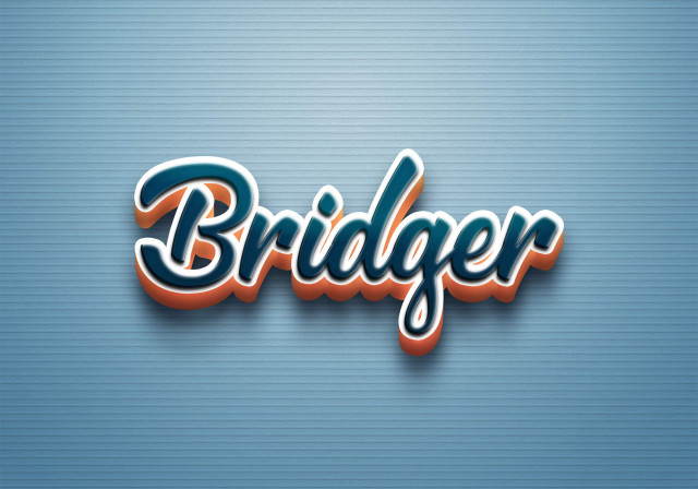 Free photo of Cursive Name DP: Bridger