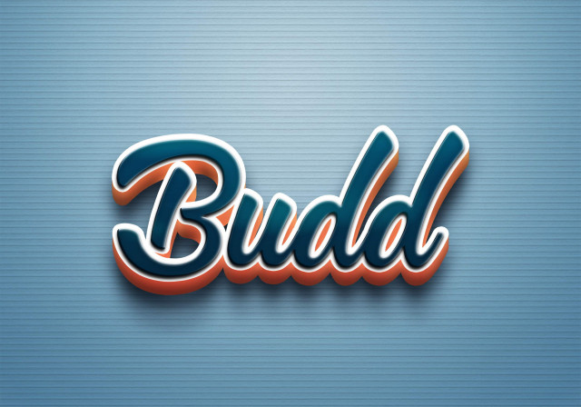 Free photo of Cursive Name DP: Budd