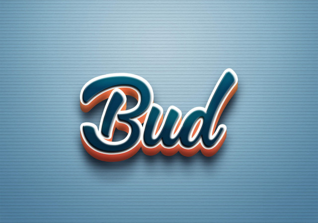 Free photo of Cursive Name DP: Bud