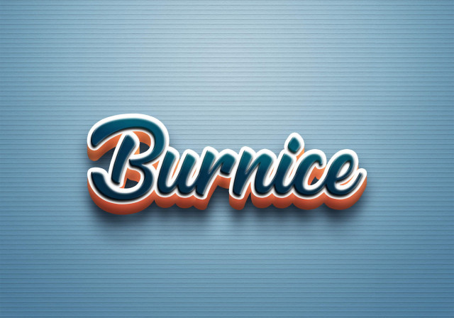 Free photo of Cursive Name DP: Burnice