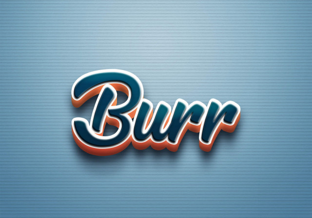 Free photo of Cursive Name DP: Burr