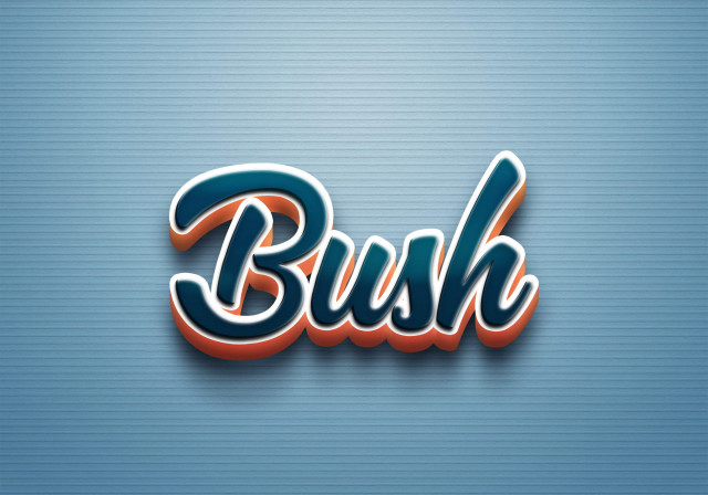 Free photo of Cursive Name DP: Bush