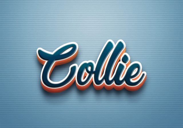 Free photo of Cursive Name DP: Collie