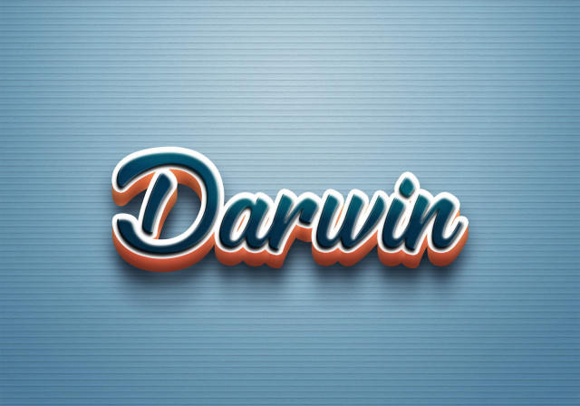 Free photo of Cursive Name DP: Darwin