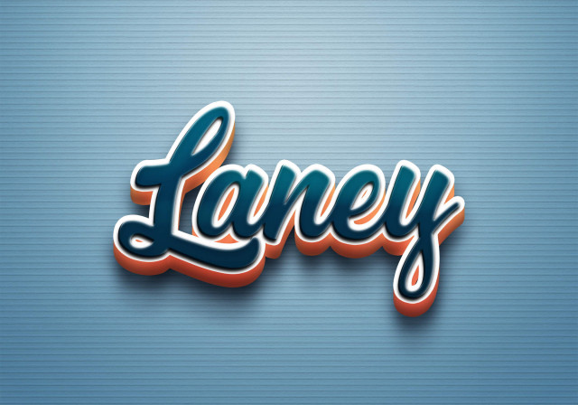 Free photo of Cursive Name DP: Laney