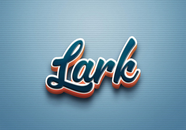 Free photo of Cursive Name DP: Lark