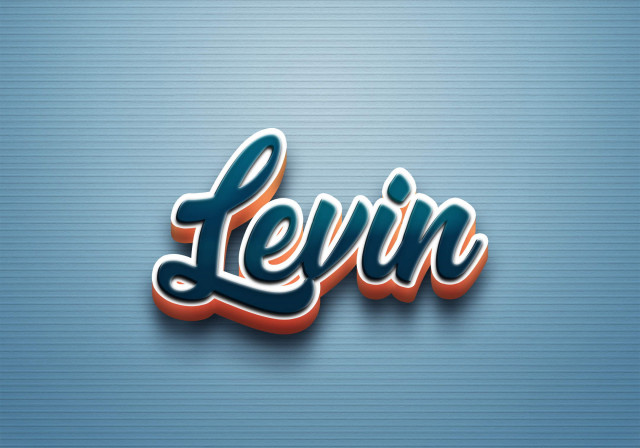 Free photo of Cursive Name DP: Levin