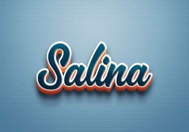 Free photo of Cursive Name DP: Salina