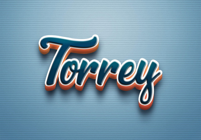 Free photo of Cursive Name DP: Torrey