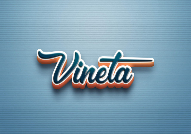 Free photo of Cursive Name DP: Vineta