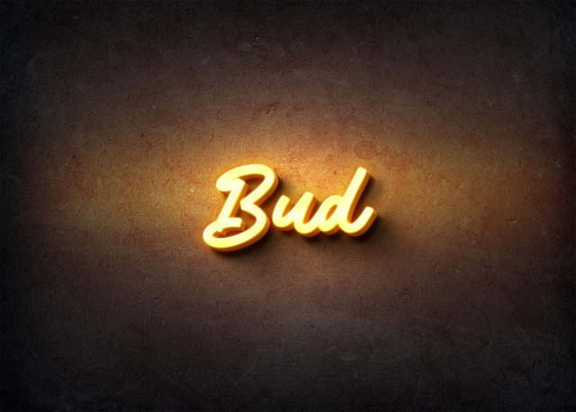 Free photo of Glow Name Profile Picture for Bud