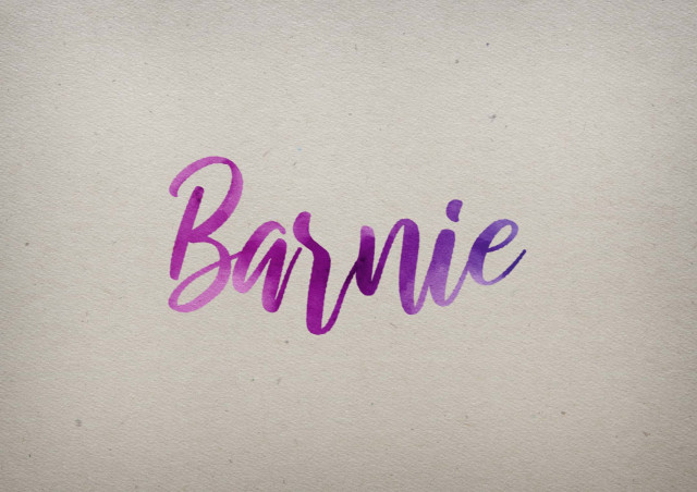 Free photo of Barnie Watercolor Name DP