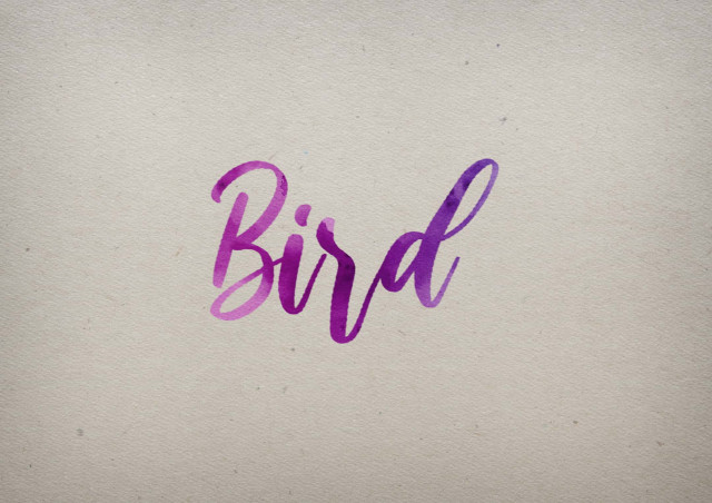 Free photo of Bird Watercolor Name DP
