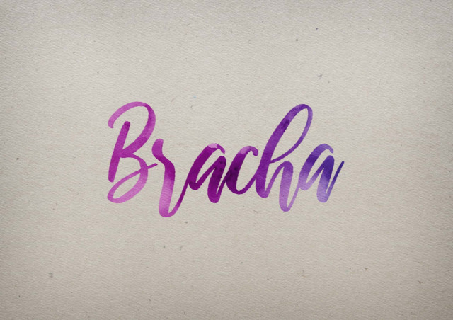 Free photo of Bracha Watercolor Name DP