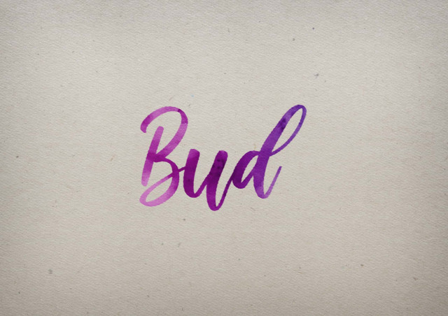 Free photo of Bud Watercolor Name DP