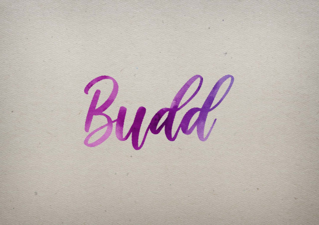 Free photo of Budd Watercolor Name DP
