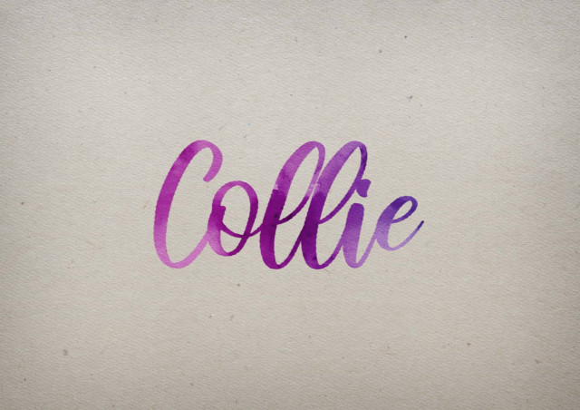 Free photo of Collie Watercolor Name DP