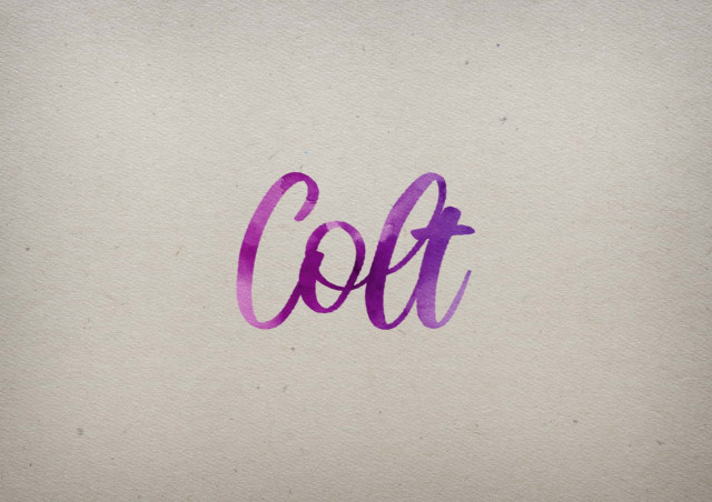 Free photo of Colt Watercolor Name DP