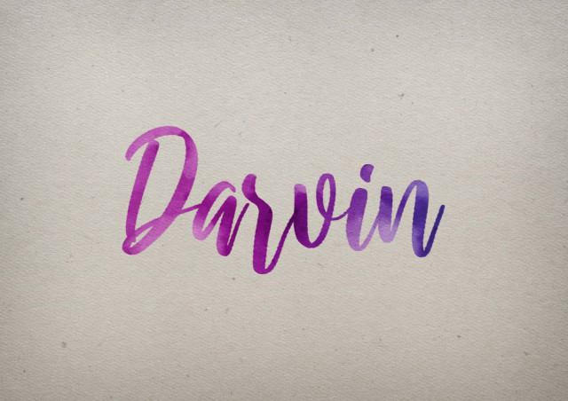 Free photo of Darvin Watercolor Name DP
