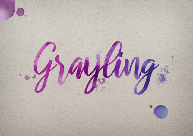 Free photo of Grayling Watercolor Name DP